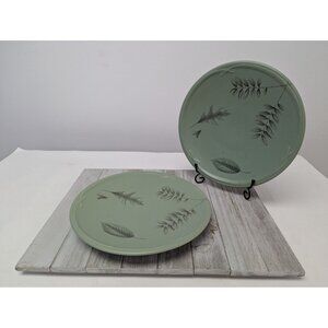 Pfaltzgraff Naturewood Dinner Buffet Plates 9 3/4" Set of 2